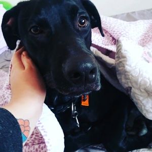 Meet your Posher, Keely